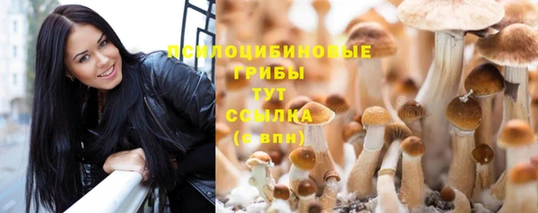 бутират Баксан