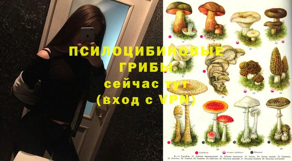 ECSTASY Няндома